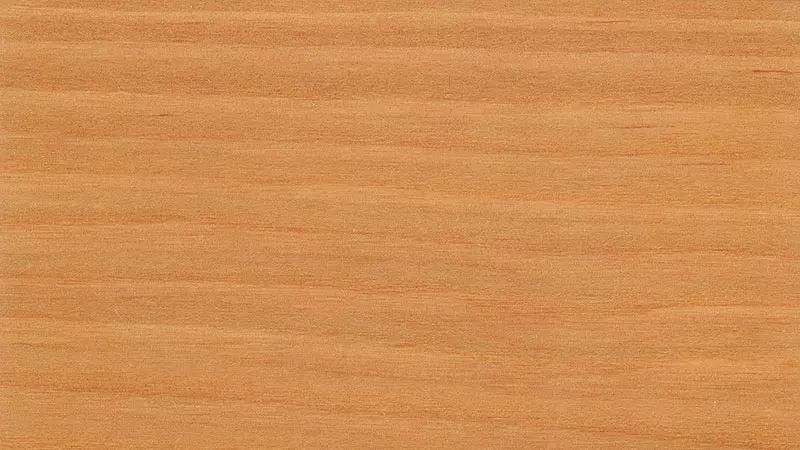 Koralan Holzöl Spezial UV-Natur 20l (für Nadelholz)